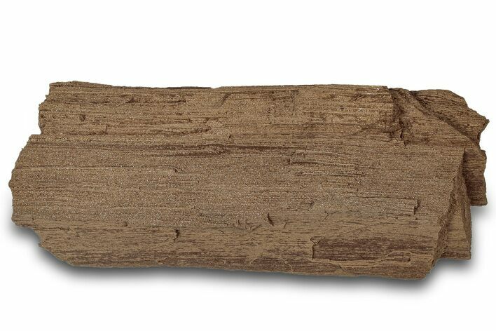 Permineralized Wood Covered In Sparkling Quartz - Germany #302048